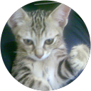 Argai N. profile picture